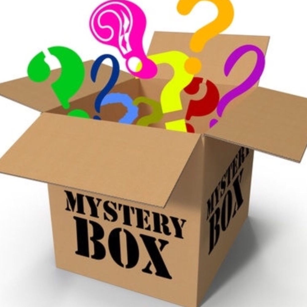 MYSTERY BOX $100+ VALUE